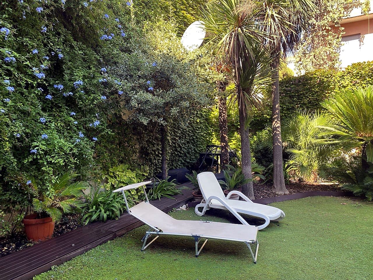 Vista del giardino con due lettini bianchi sul prato, palme alte e arbusti tropicali