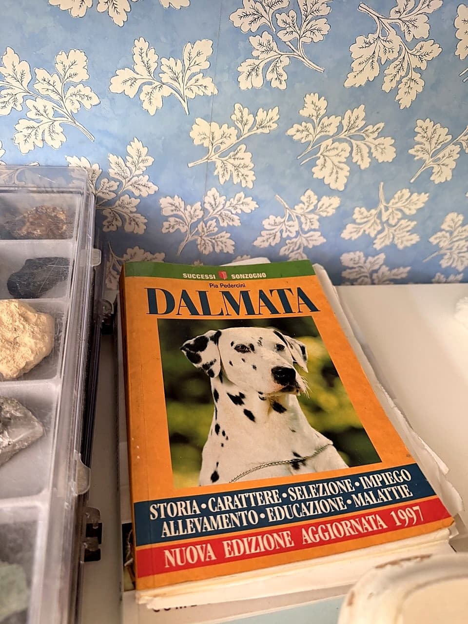 Copertina del libro 'Dalmata' di Pia Pedercini, nuova edizione aggiornata 1997, su uno sfondo di carta da parati a foglie blu, accanto a una vetrina con minerali