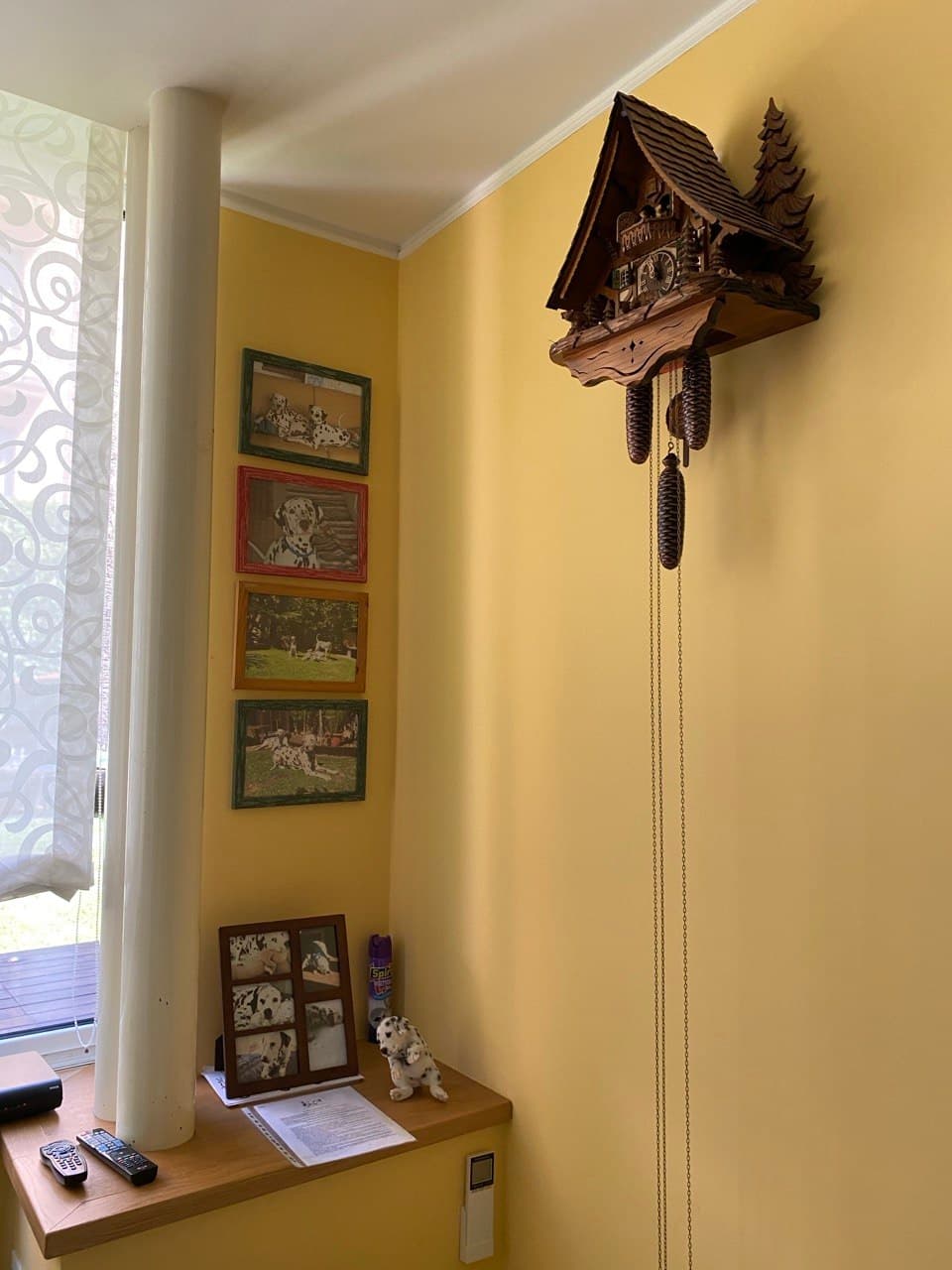 L'orologio appeso nella sala principale, accanto ai ritratti dei dalmatini
