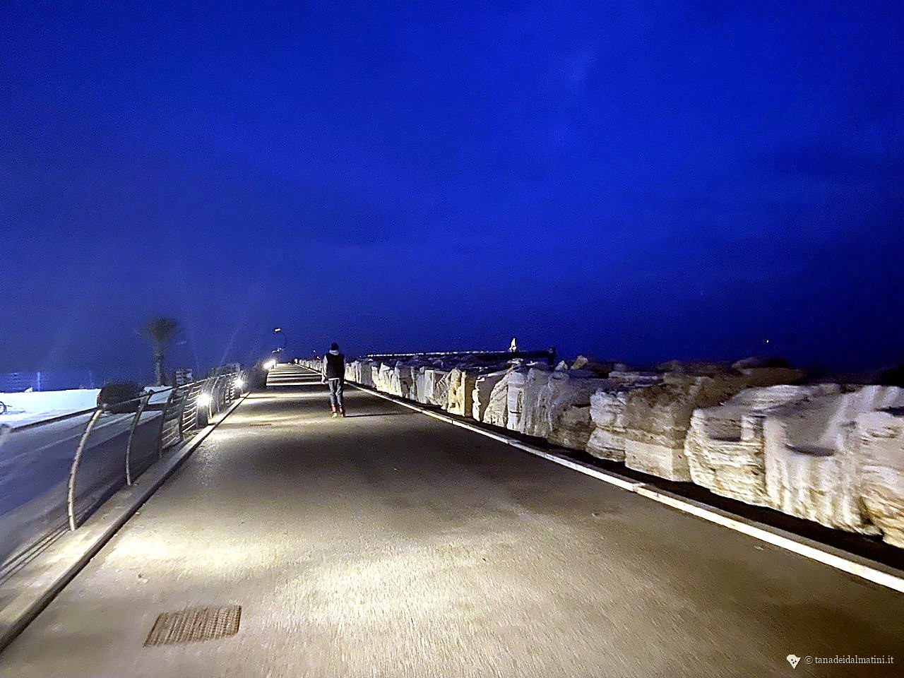Marina di San Benedetto del Tronto di notte, barche illuminate