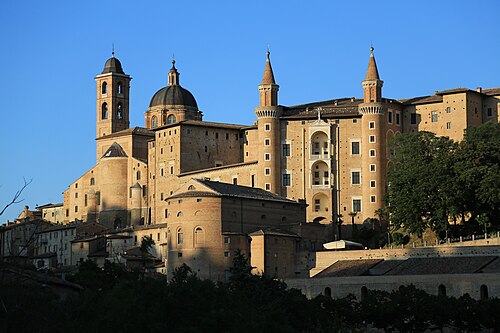 Urbino